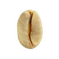 Arabica bean raw